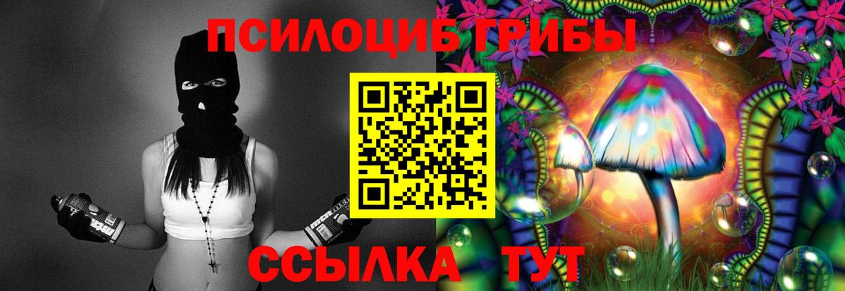 Бор  Галлюциногенные грибы мухоморы  Псилоцибиновые грибы MAGIC MUSHROOMS  Вход с VPN 