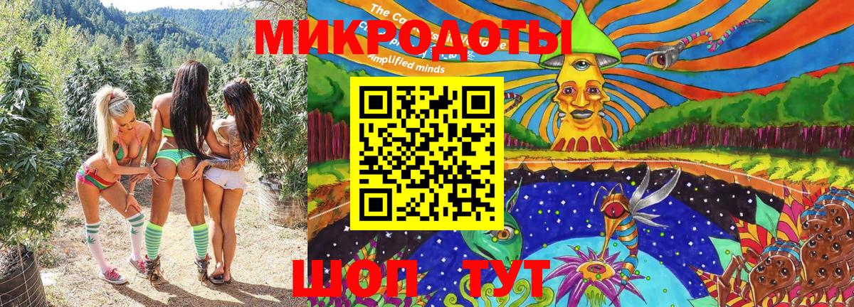 Псилоцибиновые грибы Psilocybe Бор